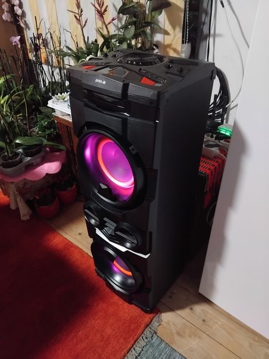 De vânzare boxă portabilă activă stereo PSBTST810