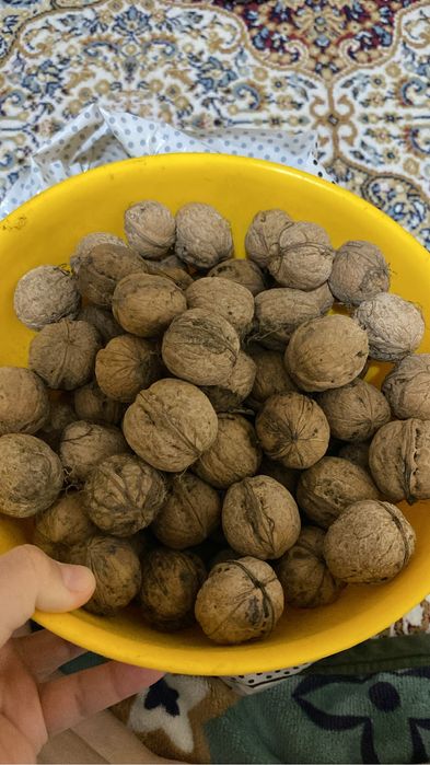 Грецские оркхи!!!1500