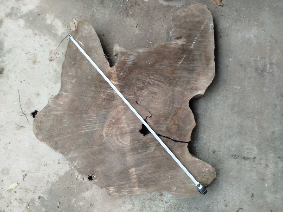 Шайби от корен на орех