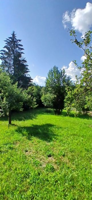 Persoana fizica vand teren cu utilitati in Rasca