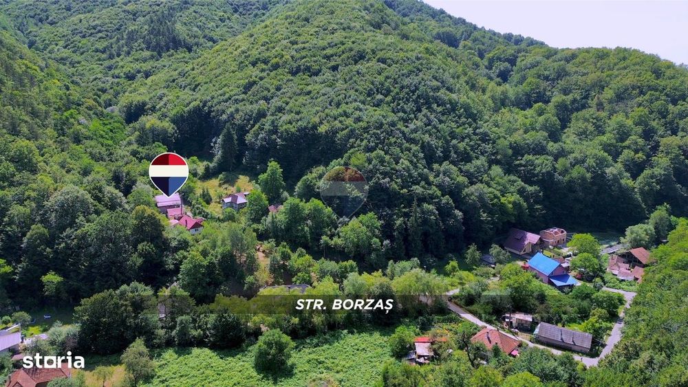 De vanzare in Baia Mare CASA SUB PADURE