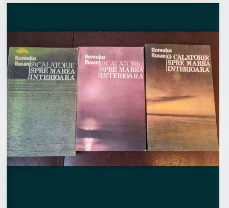 O călătorie spre marea interioara - Romulus Rusan