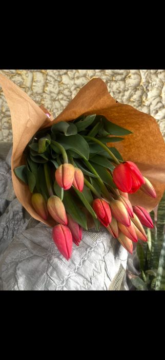 Домашние тюльпаны 350 тг