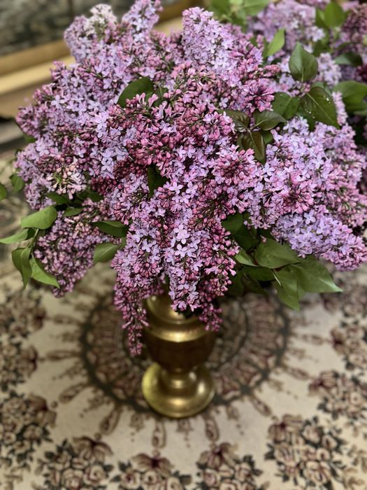 Апрельская сирень