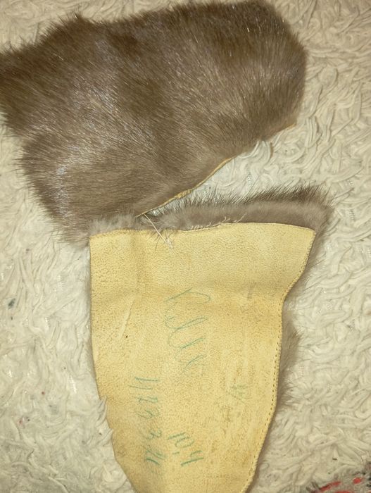 Продам кожу животных