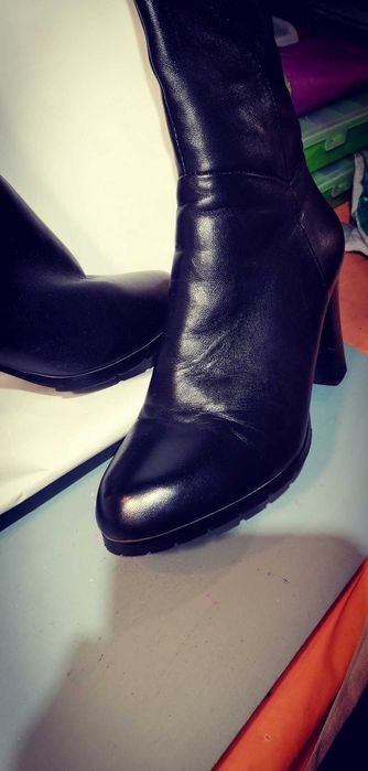 Женские ботфорты BASCONi