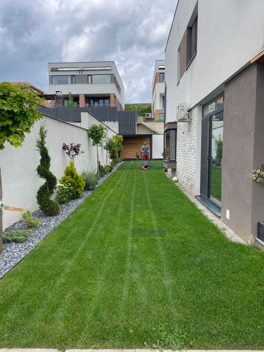 Întreținere grădini și spații verzi – Lăsăm totul perfect!