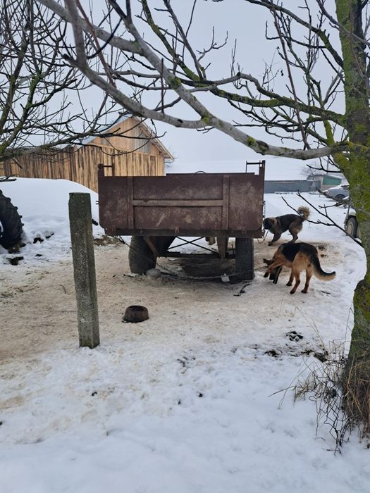 Remorca  basculabila