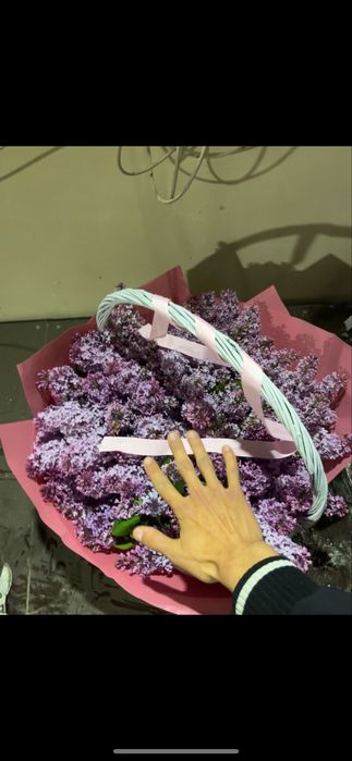 Сирень букет корзина 10к