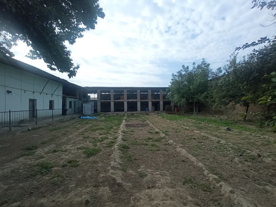 Yangi xayot gulzorda yer sotilad srochniyi 4 sotix 14 000$ mingdan 1 s