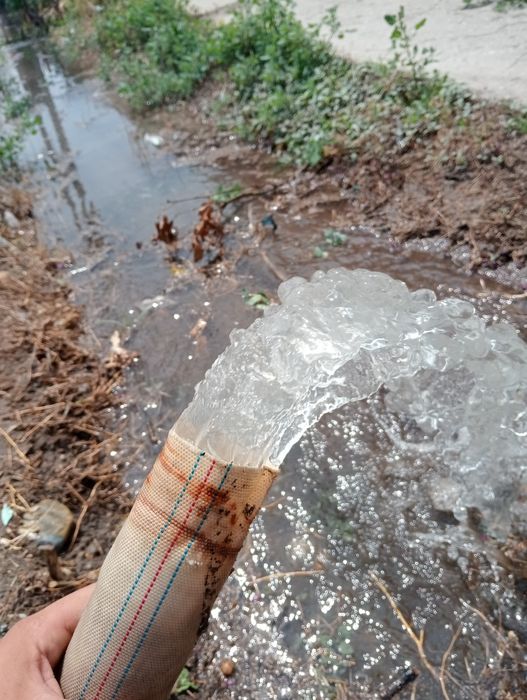 Foraje puțuri apă