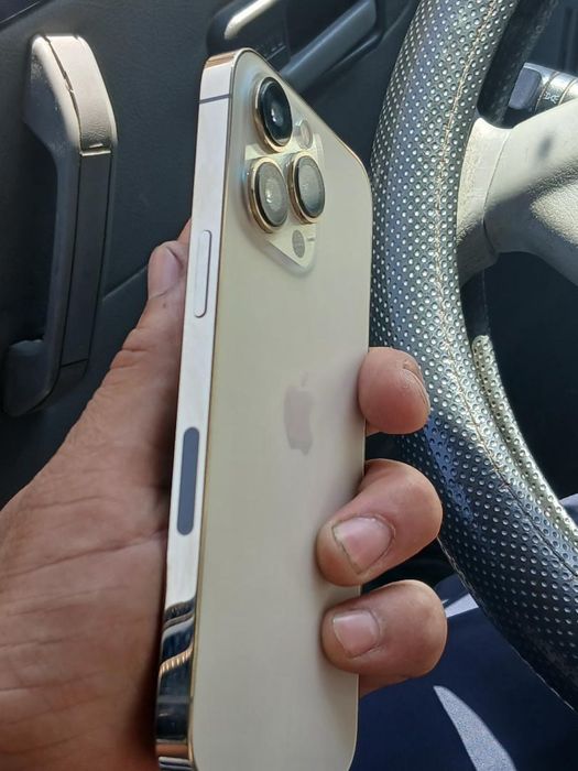 IPhone 13 Pro 256 81 %