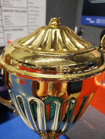 Cupă C920 Or 40cm - BENJAMIN - produs resigilat Decathlon