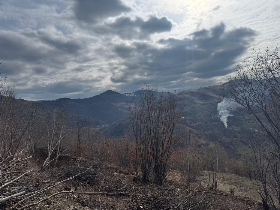 Teren Muntele Rece, ideal pentru cabana, zonă frumoasă, acces ușor