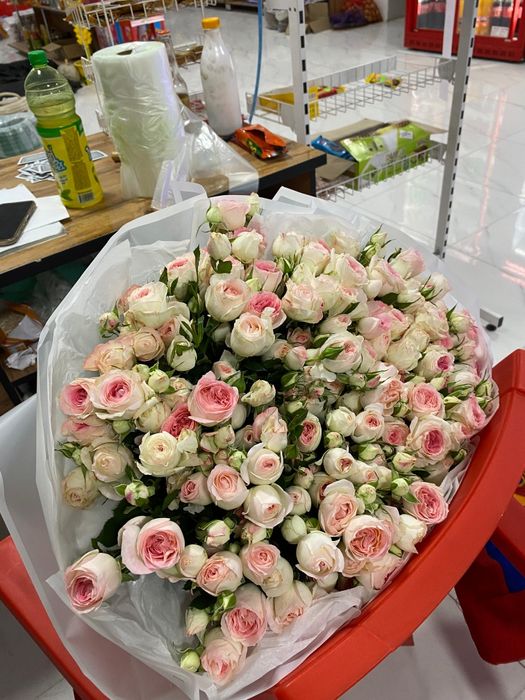 Адеми гул свежий