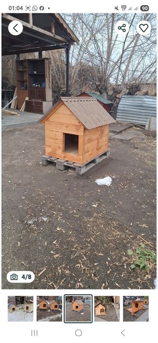 Будки для собак.