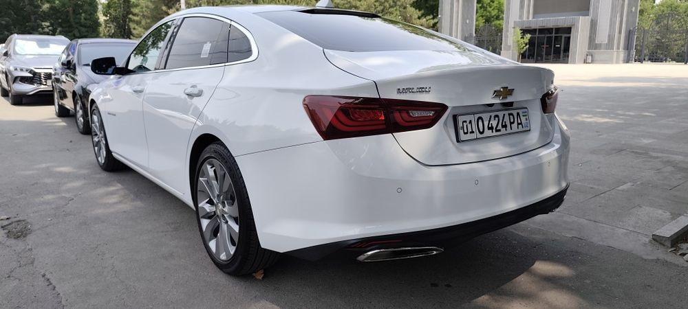 Малибу 2 отмасферный матор холати идеал.