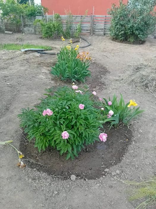 Продаётся дача,участок 7соток