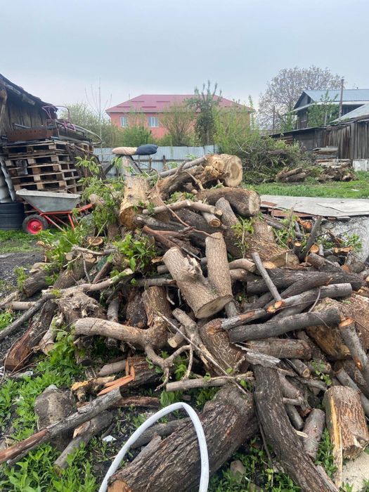 Драва ағаш  срочна сатылады