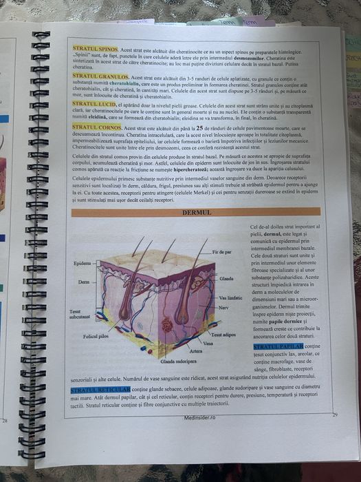 Sinteze Biologie Barrons Medinsidee