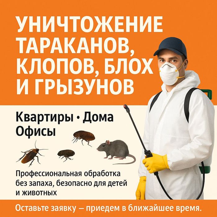Супер-акция от 10 000 — дезинсекция от клопа, таракана и мыши
