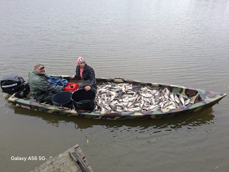 Puiet crap repopulare balti