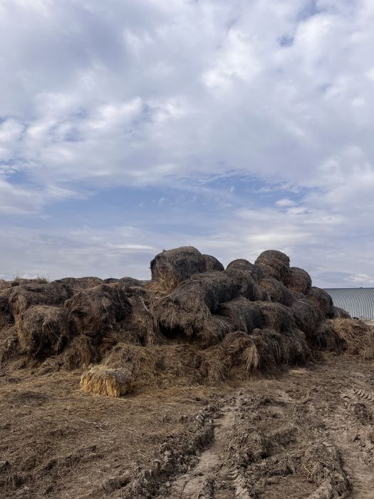 Тюки Саломы для скота