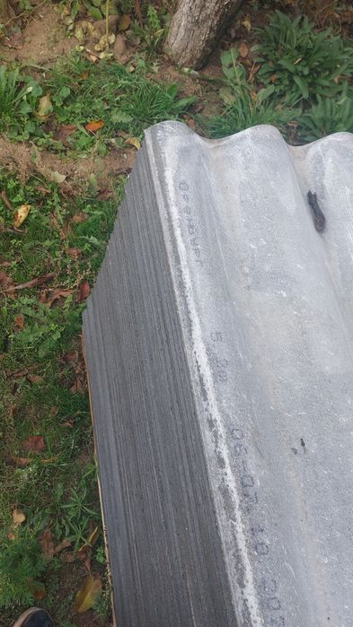 Новый шифер жана шипр