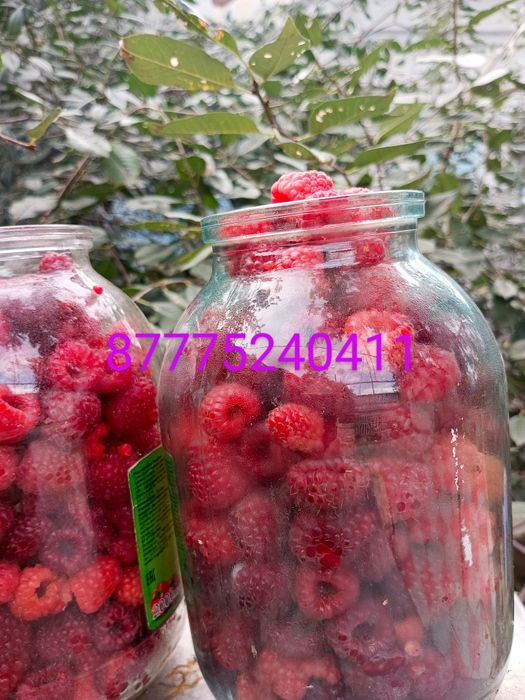 Продам малину крупную