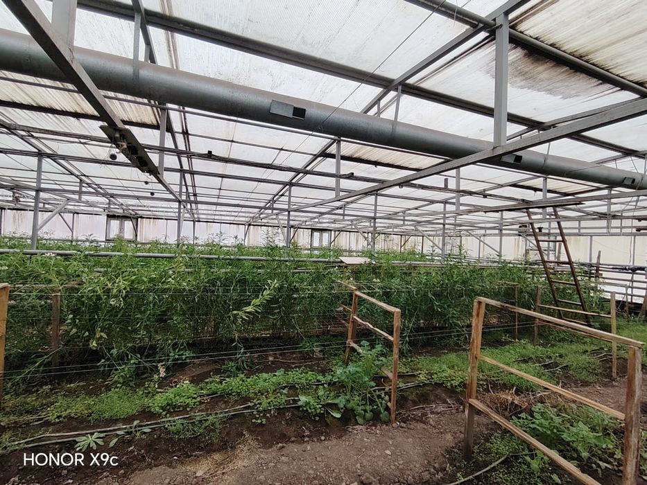 Комерческие помещения