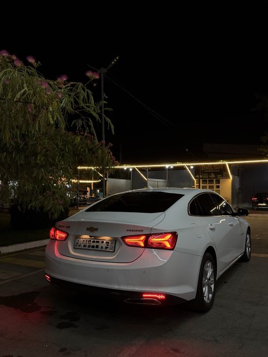 Malibu primier