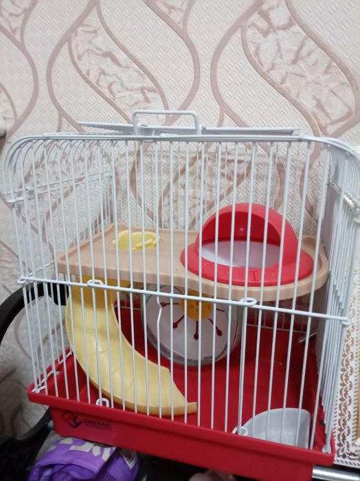 Клетка для джунгарского хомяка