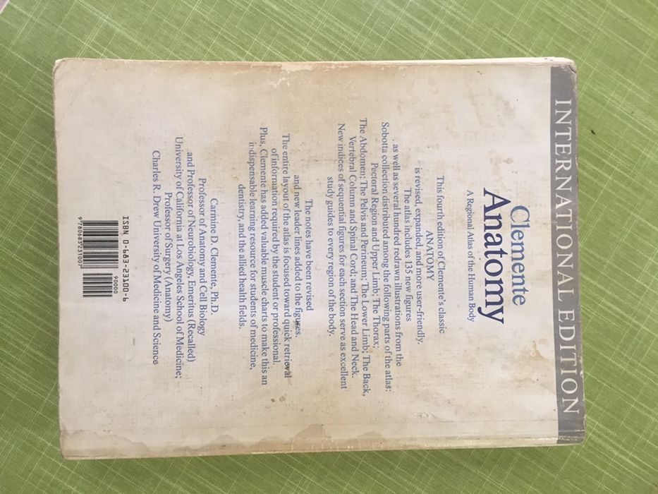 Анатомия человека