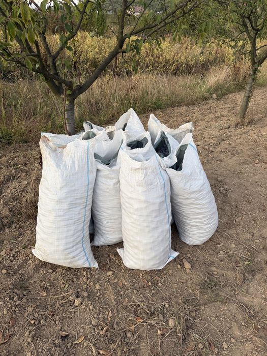 Prune de vanzare