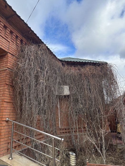 Шырмауық тегін береміз