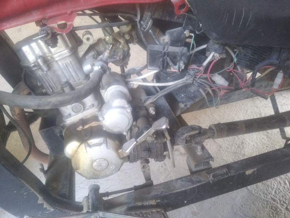 Motosekil bodo yili 2022