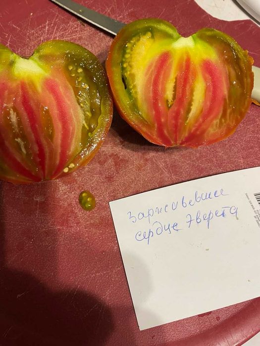 Коллекционные семена томатов