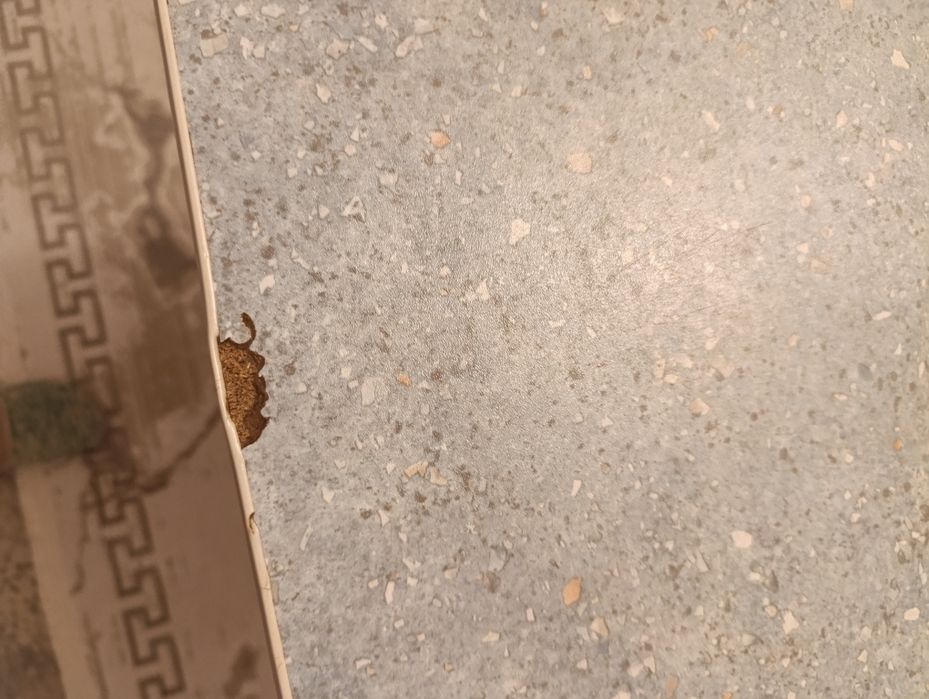 Продам кухонный стол.