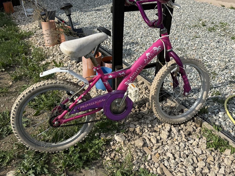 bicicletă pentru copii cu roți de 16 inch (potrivită pentru vârsta de 4–6 ani), de tip generic/no-name („Miami Miss” / „Professional”)