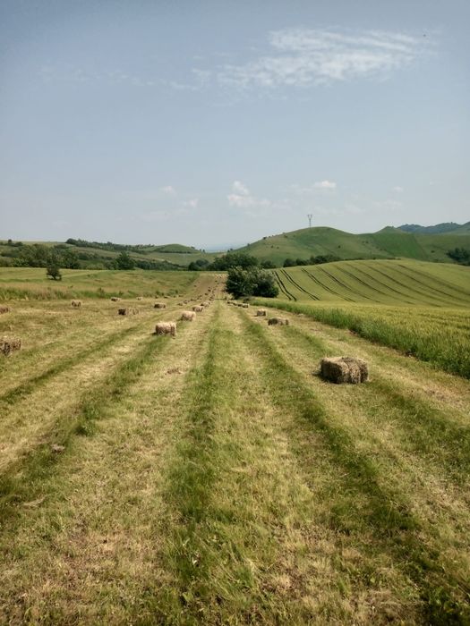 Vând baloți de fân