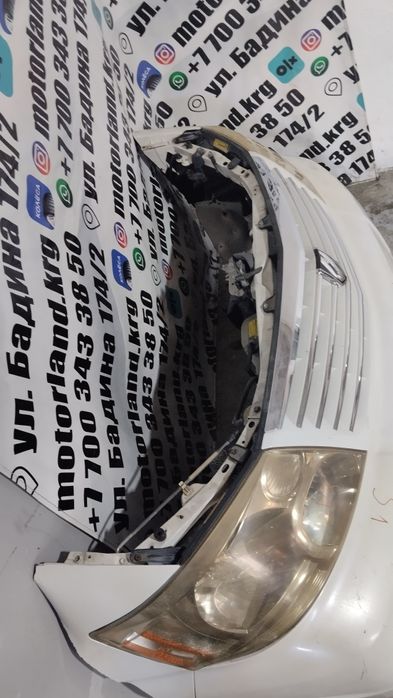 Ноускат Toyota Alphard