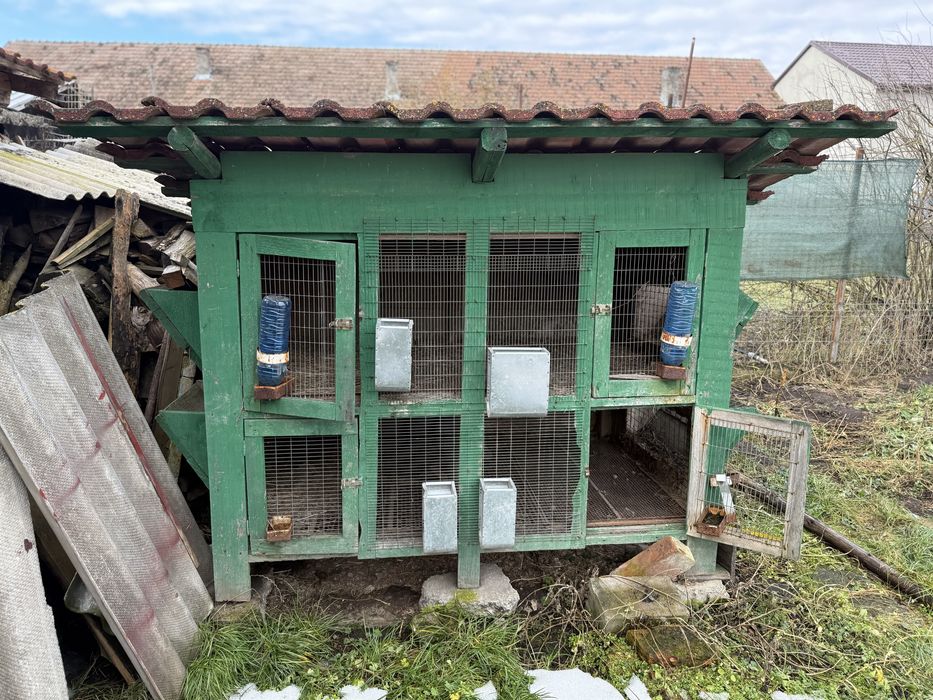 Vand cusca pentru iepuri