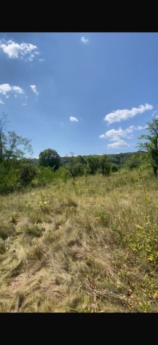 Teren Extravilan 22.565 mp – Ciomăgești, Argeș