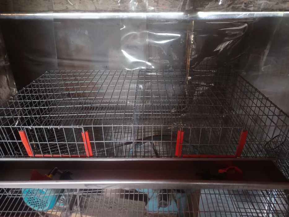 Cușcă prepelițe cu două compartimente