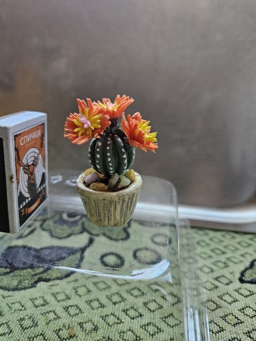 Кактусы сувенирные