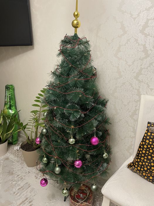 Ёлка хорошем состояний