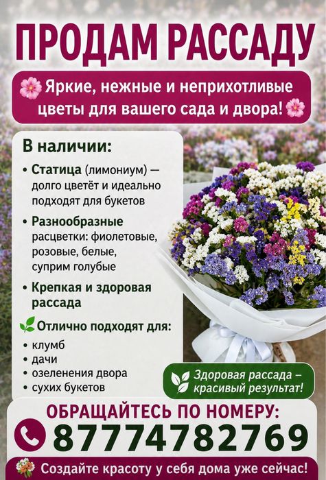 Рассада статицы!!!