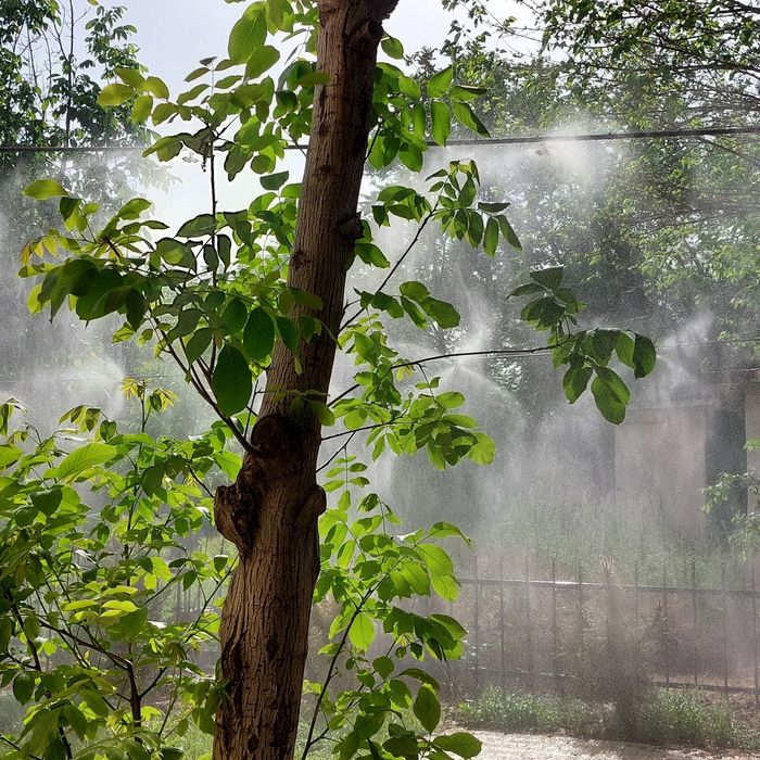 микроклимат + сетка