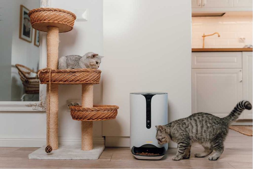 Hranitor Automat 6L pentru caini si pisici, SMART, camera VIDEO, WiFi