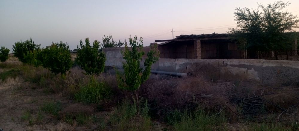 Ҳовли уй жой сотилади ферма қилиш учун мўлжалланган